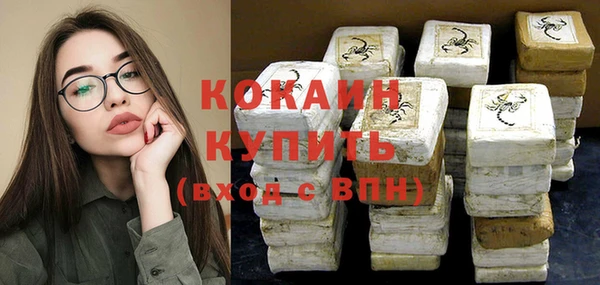 шишки Богородск