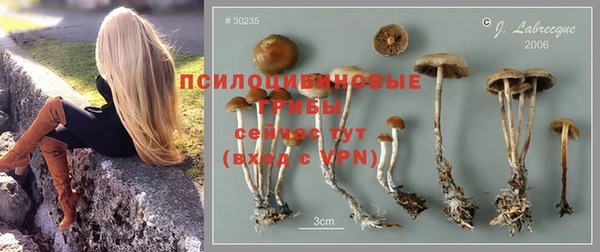марки nbome Богородицк