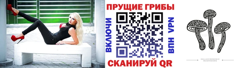 что такое наркотик  Няндома  Галлюциногенные грибы Magic Shrooms 