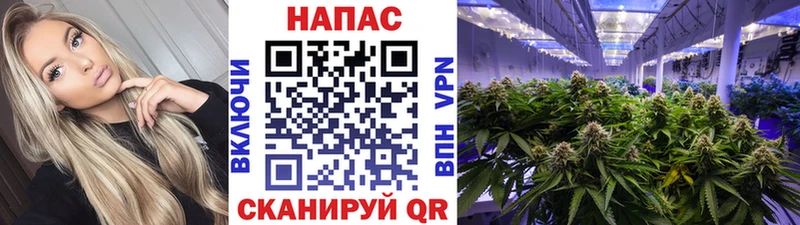 hydra ССЫЛКА Няндома Бошки Шишки MAZAR